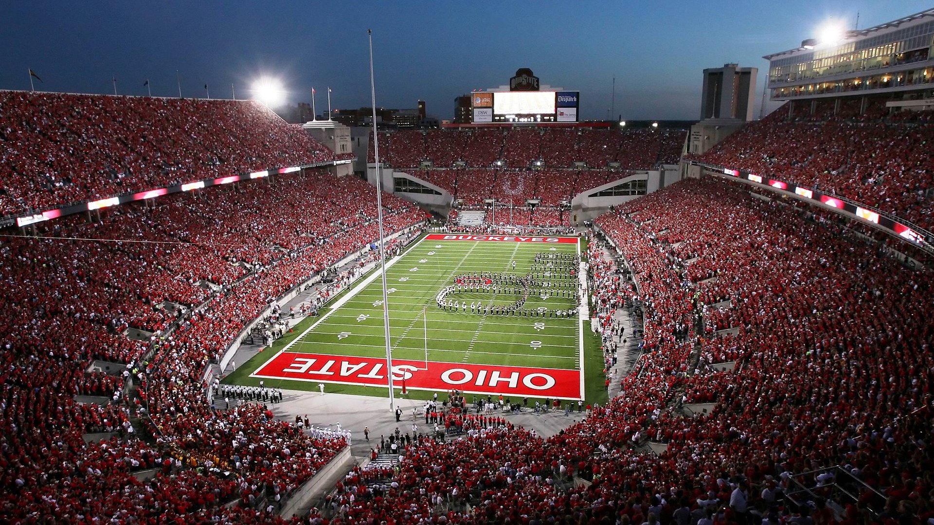 匈男泳队自由泳技术稳定高效，2021男子自由泳决赛