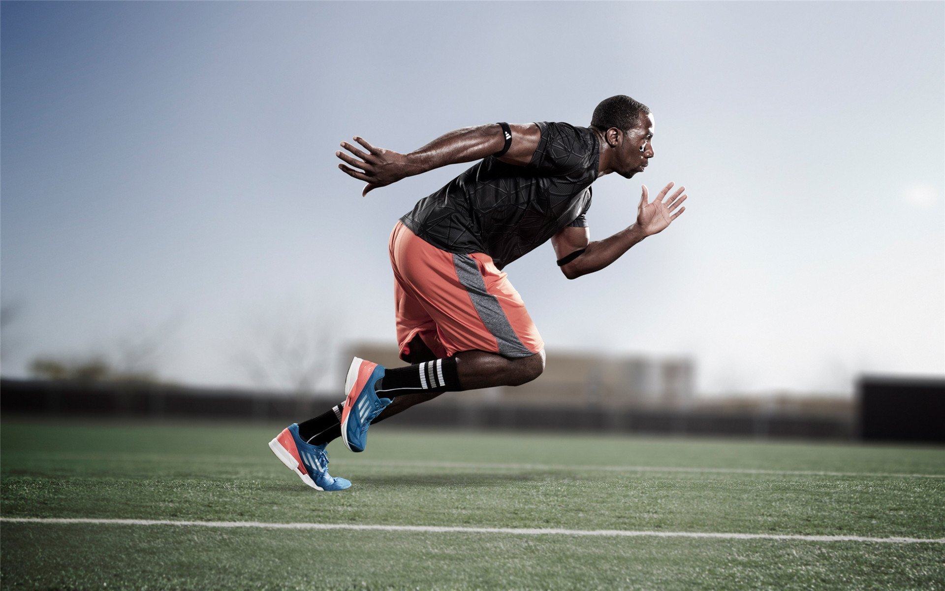 伊朗骑手阿里·巴赫蒂亚里在巴黎奥运会上与“Shahram”马匹共同参赛,尽管因马匹受伤被迫退出,但展现了坚强意志。