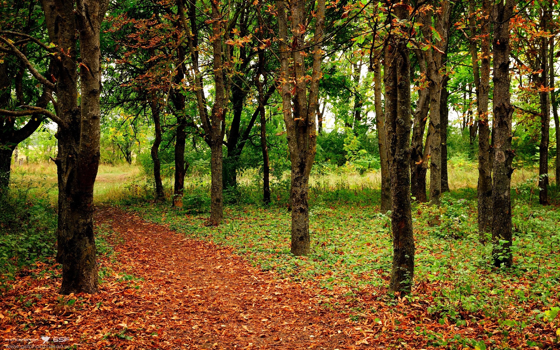 巴萨加强中场控制,迎来难得的胜利,巴萨中场有哪些巨星