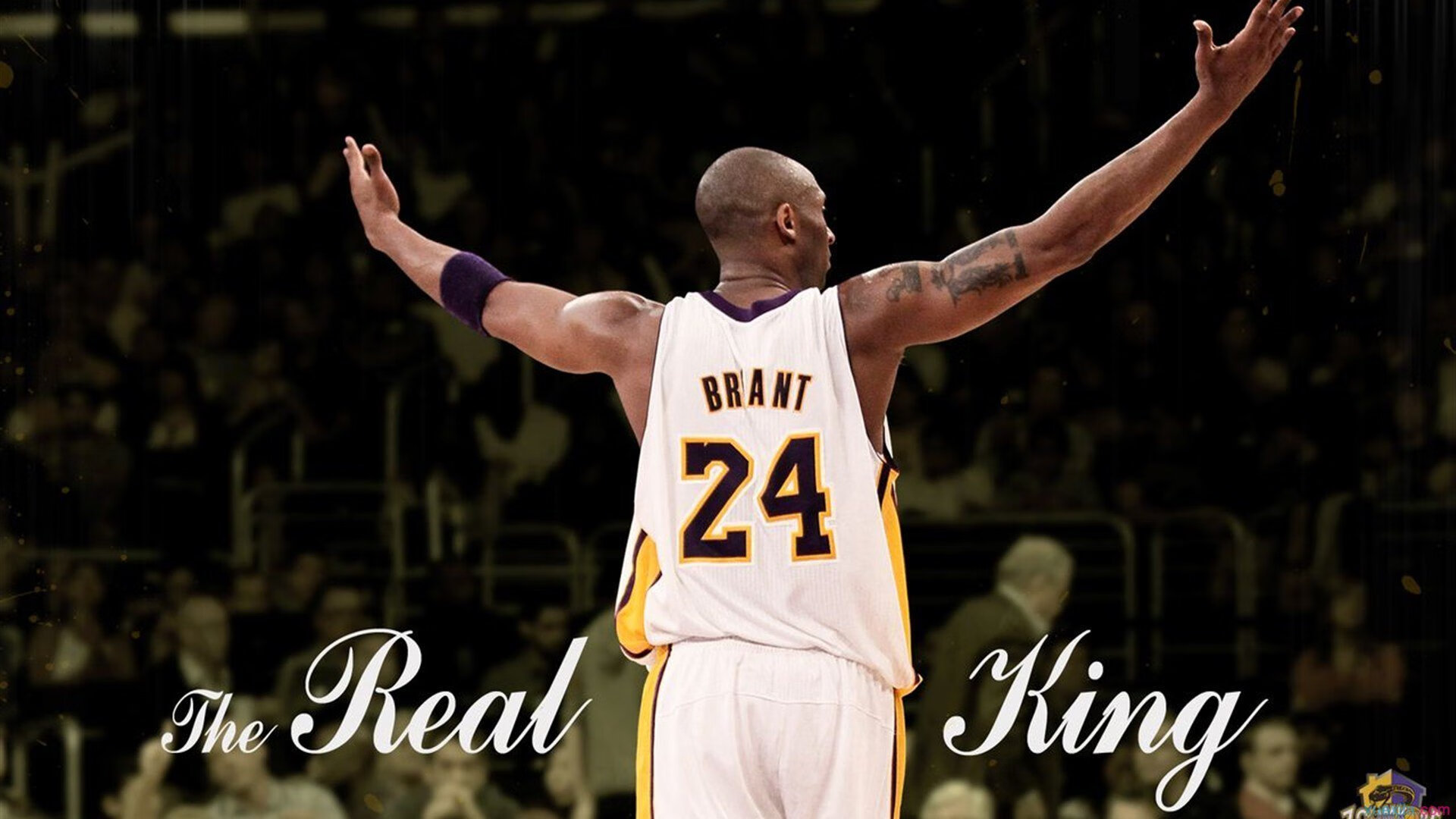 AYXSPORTSAPP-篮球场地材料环保升级响应可持续发展目标，篮球场新材料